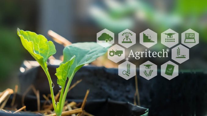 Tumbuhnya Agritech Startup Di Tengah Pandemi Covid-19 | HeyLaw