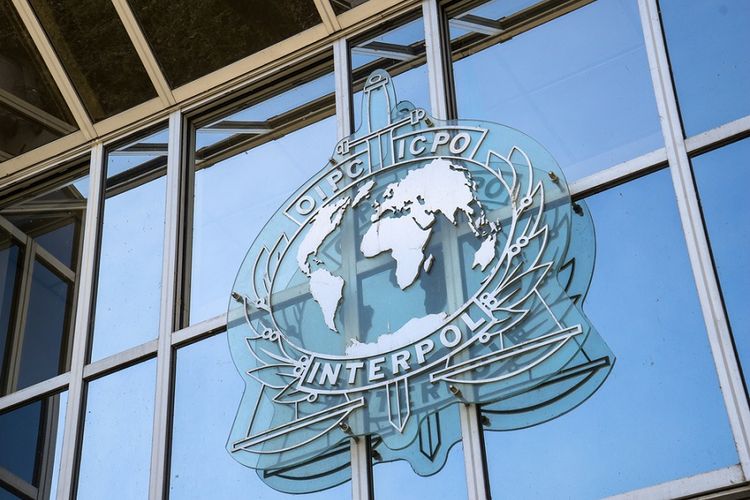 Perbedaan UNPOL Dan INTERPOL: Keanggotaan Negara, Tugas Pokok, Dan ...